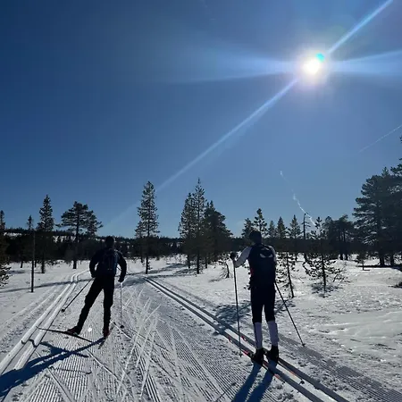 Family Budor-60 Min Osl Sauna & Hedmarksvidda Ferienhaus