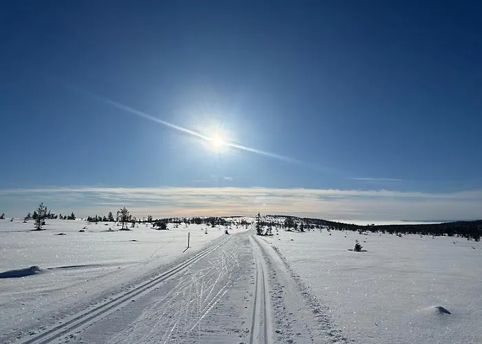 度假居 Family Budor-60 Min Osl-alpine & Cross-country Skiing *