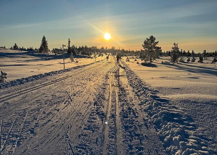 Family Budor-60 Min Osl-alpine & Cross-country Skiing